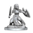 WizKids D&D Nolzurs Marvelous Miniatures Shifter Fighter - WZK90407