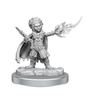 WizKids D&D Nolzurs Marvelous Miniatures Halfling Wizards - WZK90413