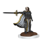 WizKids D&D Nolzurs Marvelous Miniatures Death Knights - WZK90423
