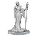 WizKids Critical Role Unpainted Miniatures Human Wizard Female & Halfling Holy Warrior Female - WZK90550
