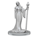 WizKids Critical Role Unpainted Miniatures Human Wizard Female & Halfling Holy Warrior Female - WZK90550
