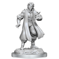 WizKids Critical Role Unpainted Miniatures Male Human Sorcerer Merchant & Tiger Demon - WZK90551