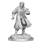 WizKids Critical Role Unpainted Miniatures Male Human Sorcerer Merchant & Tiger Demon - WZK90551