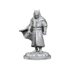 WizKids Critical Role Unpainted Miniatures Male Human Sorcerer Merchant & Tiger Demon - WZK90551