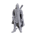 WizKids Critical Role Unpainted Miniatures: Dorian Storm - WZK90723