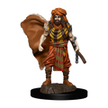 WizKids D&D Premium Painted Figures Human Druid Male - WZK93031