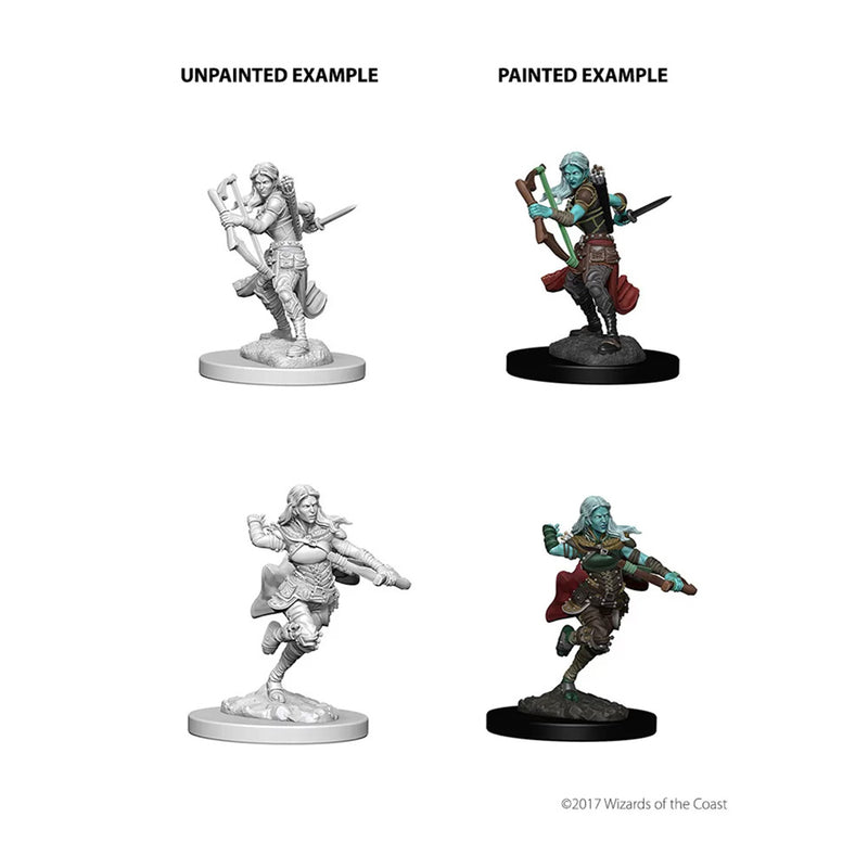WizKids 73204 D&D Nolzurs Marvelous Miniatures Marvelous Unpainted: Air Gen (9003787813101)