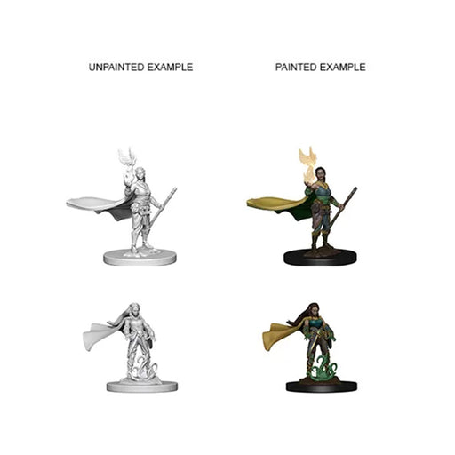 WizKids 72642 D&D Nolzurs Marvelous Miniatures: Elf Female Druid (9003781849325)