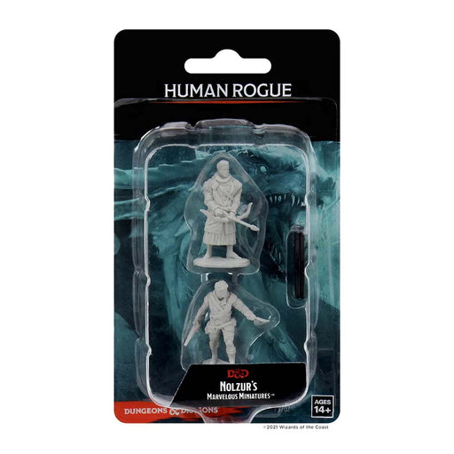 WizKids 73702 D&D Nolzurs Marvelous Miniatures Male Human Rogue (9003802132717)