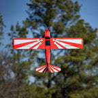 E-Flite Super Decathlon 1.2m BNF Basic with AS3X+ and SAFE Select RC Plane (29)