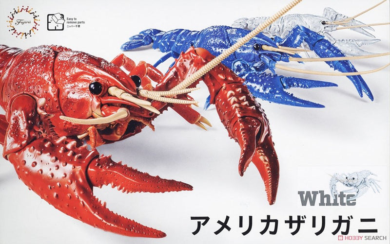 xFujimi 170886 Biology Research 24EX-2: Procambarus Clarkii (Crayfish) Snap Kit - White - Hobby City NZ (7637946269933)