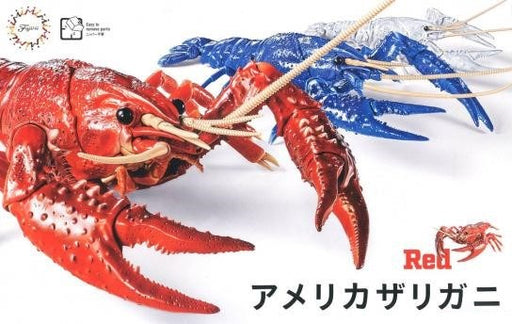 Fujimi 171401 Biology: Crayfish Red (8324823023853)