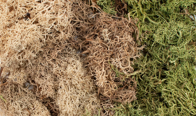 Woodland Scenics G6500 Winter Mix EZ Bushes All Game Terrain (8932307435757)