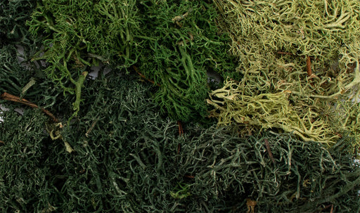 Woodland Scenics G6501 Summer Mix EZ Bushes All Game Terrain (8932307632365)