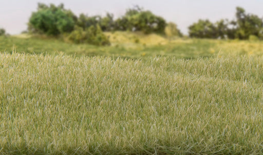 Woodland Scenics G6571 4mm Light Green Static Grass All Game Terrain (8932311105773)