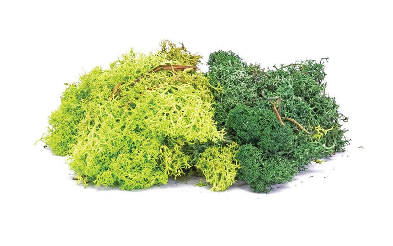 Hornby R7194 Lichen: Green Mix