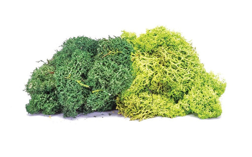 Hornby R7195 Lichen: Large Green Mix (7540749369581)