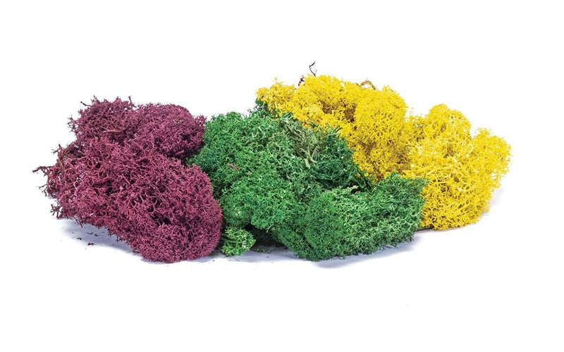 Hornby R7197 Lichen: Large Autumn Mix - Hobby City NZ (7650705473773)