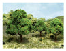 JTT Scenery 92139 Apple Trees 2.5- 3.5" (6) (8346420936941)