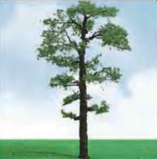 JTT Scenery 92212 Scot Pine Trees 50- 57mm (3) (8346421657837)