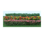 JTT Scenery 95665 Flowering Hedges 3pk (8346424410349)