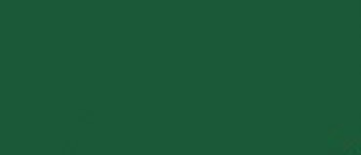 LifeColor UA506 Olive Green 22ml Acrylic Paint - Hobby City NZ (8966383960301)