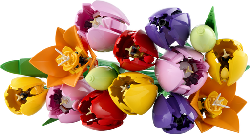 LEGO Botanicals Tulip Bouquet 11501 (9249824276717)