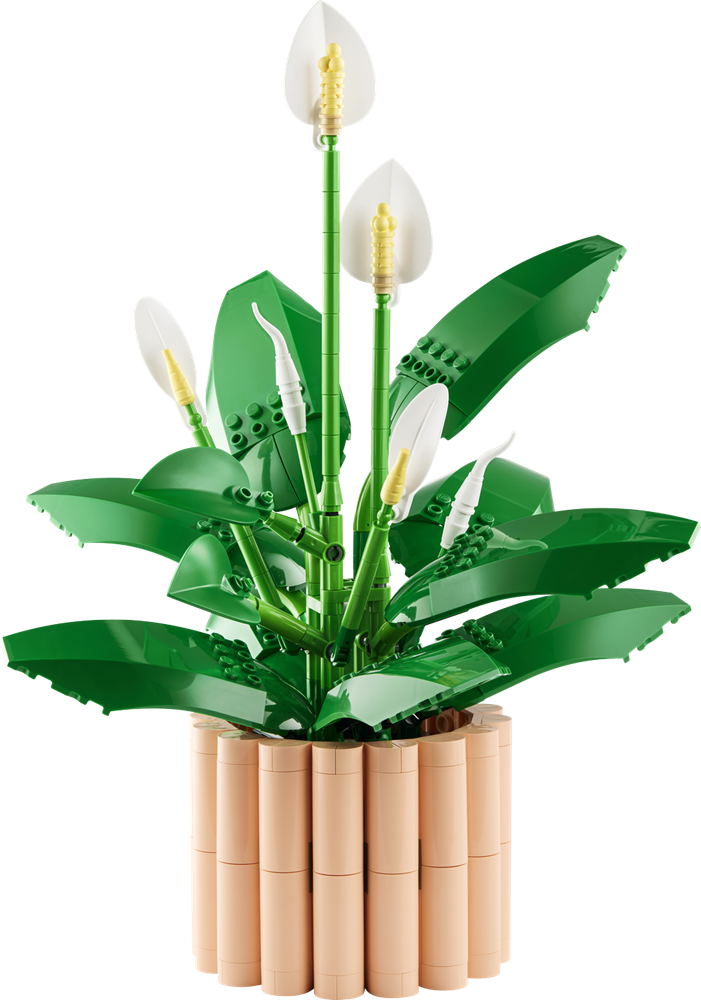 LEGO Botanicals Peace Lily 11504 (9249824375021)