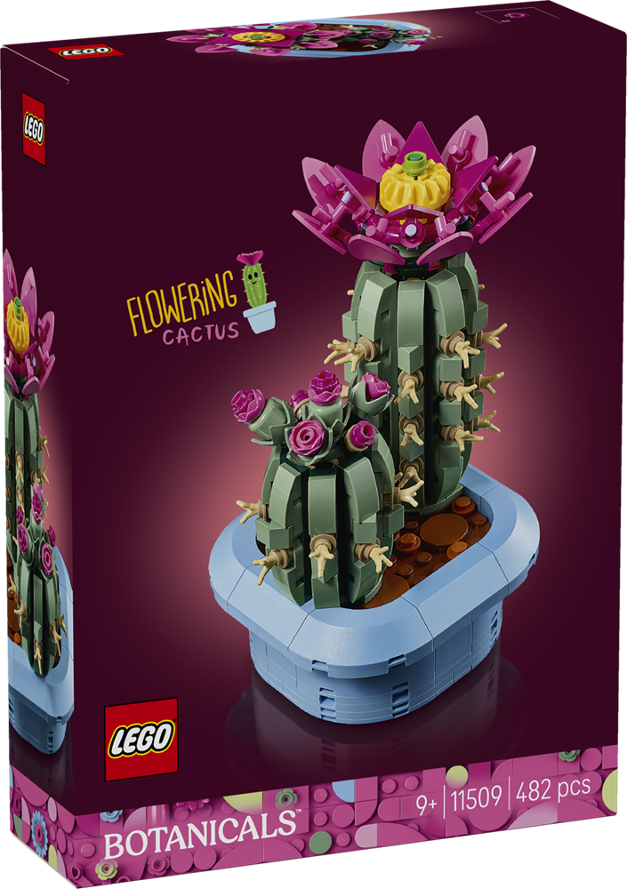 LEGO Botanicals Kids Flowering Cactus 11509 (9249821130989)