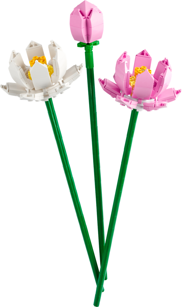 LEGO Flowers Lotus Flowers 40647