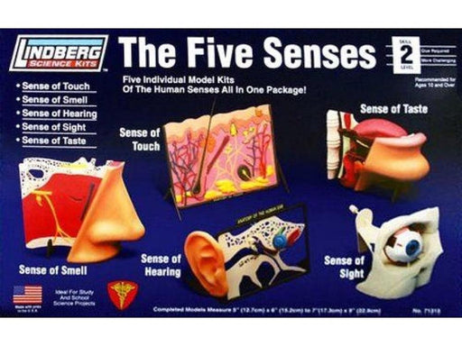 xLindberg 71315 The Five Senses Model Kits (767702138929)