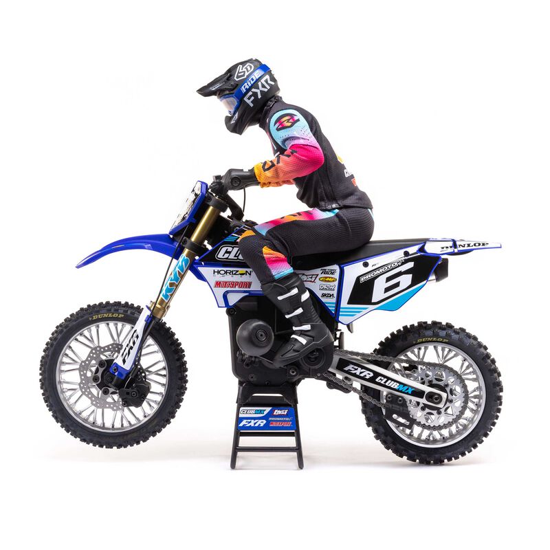 TLR LOSI LOS06000T2 1/4 Promoto-MX Motorcycle RTR Club MX Blue - Hobby City NZ (8347092123885)