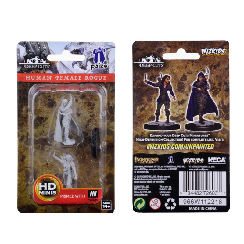 WizKids 72603 Pathfinder Deep Cuts Unpainted Miniature: Human Fe (9003777523949)