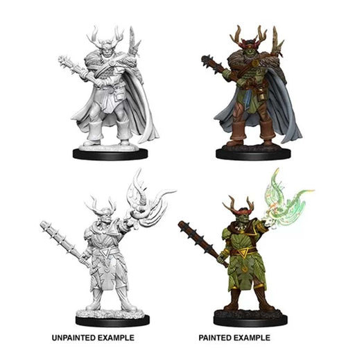 WizKids 73853 Pathfinder Deep Cuts Male Half-Orc Druid (9003806556397)