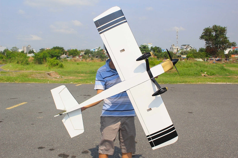 Seagull Models SEA200JP Challenger Sport LW - 63" ARF, 10-15cc ( JP 50th anniversary) New 2025 by Seagull (9093893128429)