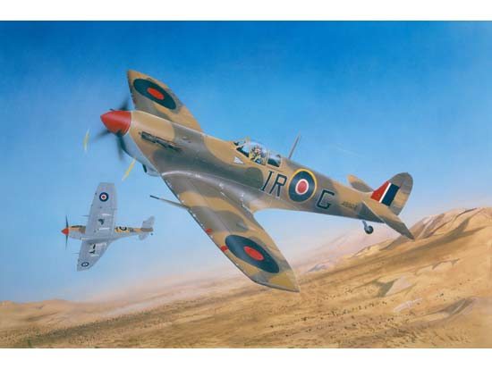 Trumpeter 02412 1/24 Supermarine Spitfire MK.Vb/Trop