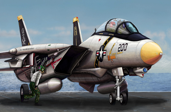 Trumpeter 03910 1/144 F-14A Tomcat