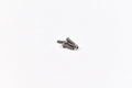 Vision Racing Titanium Gear Diff Screw Kit - TLR 22X & TLR 22X-T - VRC00597