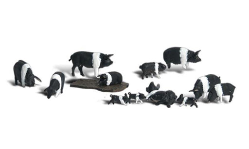 Woodland Scenics A1864 HO Scenic Accents: Hampshire Pigs - HO Scale - Hobby City NZ (7540614299885)