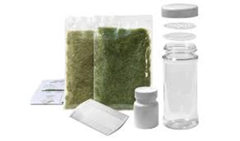 Woodland Scenics FS647 Static Grass Starter Kit (8807596392685)