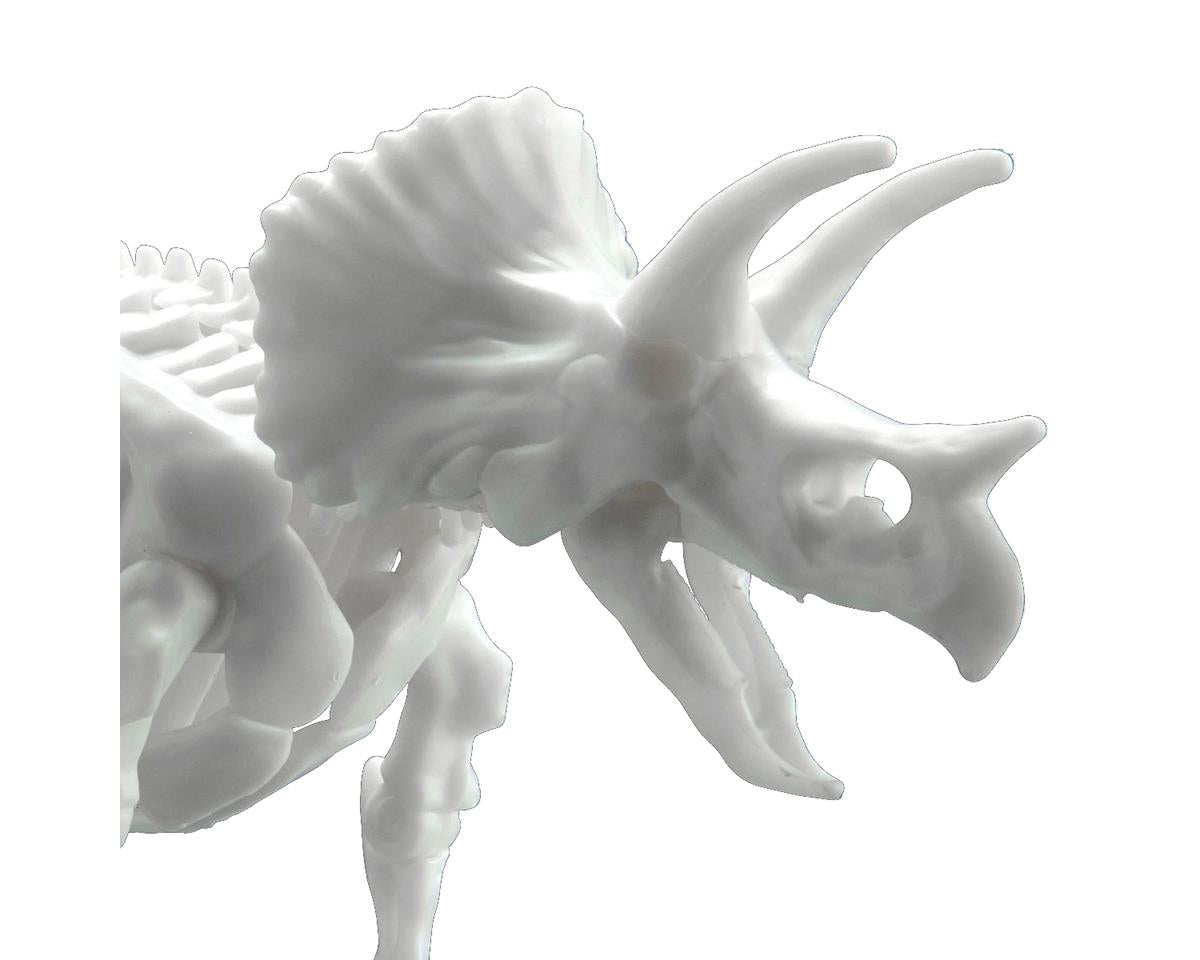 Bandai Dinosaur Limex Skeleton - Triceratops - BAS2569527