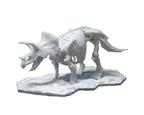 Bandai Dinosaur Limex Skeleton - Triceratops - BAS2569527
