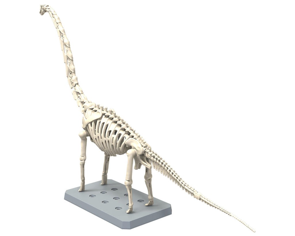 Bandai Plannosaurus Brachiosaurus Dinosaur - BAS2723576