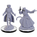 WizKids Critical Role Unpainted Miniatures Lucien Tavelle & Cree Deeproots - WZK90663