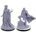 WizKids Critical Role Unpainted Miniatures Xhorhasian Mage & Xhorhasian Prowler - WZK90665