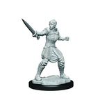 WizKids Critical Role Unpainted Miniatures Human Dwendalian Empire Fighter Female - WZK90386