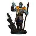 WizKids D&D Premium Painted Figures Male Firbolg Druid - WZK93013
