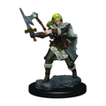 WizKids D&D Premium Painted Figures Human Female Barbarian - WZK93020