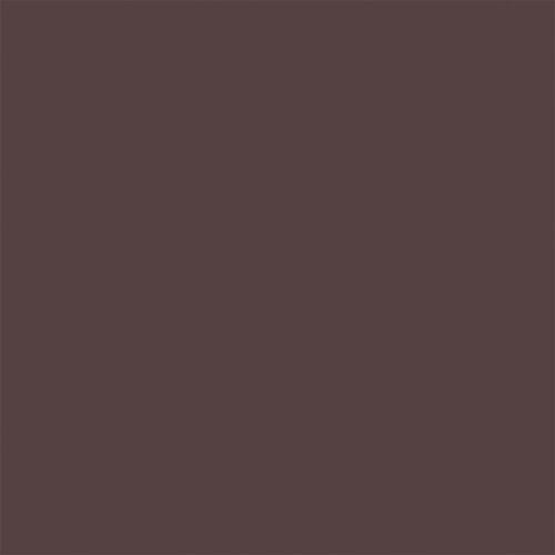 Tru-Color Paint 410 MATTE ROOF BROWN