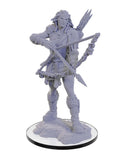 WizKids Pathfinder Deep Cuts Miniatures Wood Giant - WZK90688